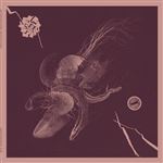 Now That You've Found It - Vinilo