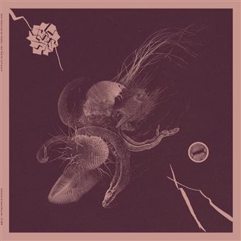 Now That You've Found It - Vinilo