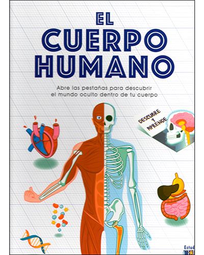 El cuerpo humano