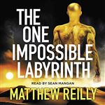 The one impossible labyrinth