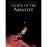 Lights of the Amalou_0