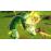 Dragon Ball Xenoverse 2 Xbox One_4