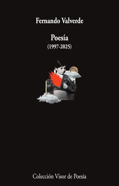 Visor Libros, S.l. Poesía - Fernando Valverde (Autor)