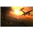 Air Conflicts Collection Nintendo Switch_4