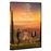 Una villa en la Toscana - DVD