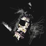 Capture & Release - CD