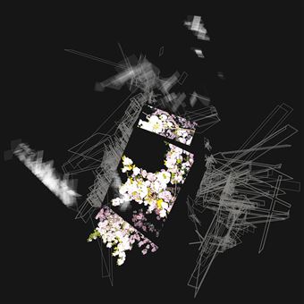 Capture & Release - CD