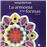La armonía de las formas