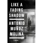 Like a fading shadow