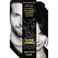 Silver linings playbook