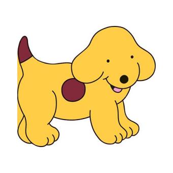 All About Spot