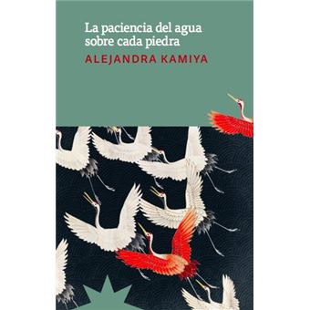 La Paciencia Del Agua Sobre Cada Piedra