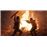 Days Gone Collectors Edition PS4_2