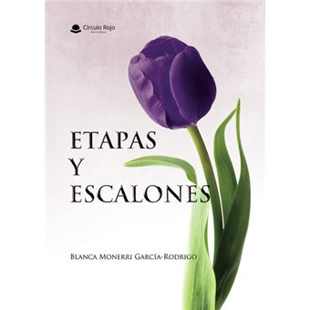 Etapas Y Escalones