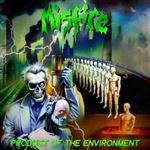 Product Of The Environment - Vinilo