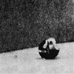 Midwestless - Vinilo