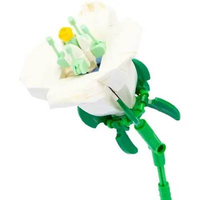 Flower mattoncini galanto