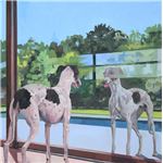Dos galgos blancos - CD