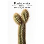 Hasta no verte Jesús mío