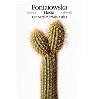 Hasta no verte Jesús mío