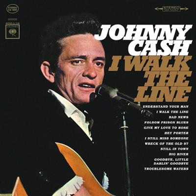 Default Constructor I Walk The Line - Vinilo