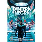 Pantera Negra 3 Todo Esto Y El Mundo Tambien