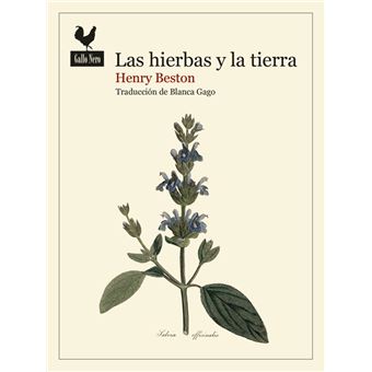Las hierbas y la tierra