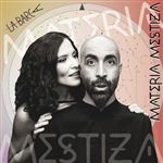 Materia mestiza