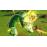 Dragon Ball: Xenoverse 2 Deluxe Edition PS4_2