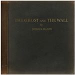 The Ghost And The Wall - Vinilo