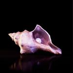 Onda - Vinilo Transparente