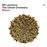 Bloom - CD