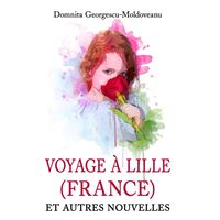 VOYAGE À LILLE (FRANCE)