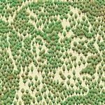 Claros Del Bosque - Vinilo