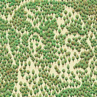 Claros Del Bosque - Vinilo