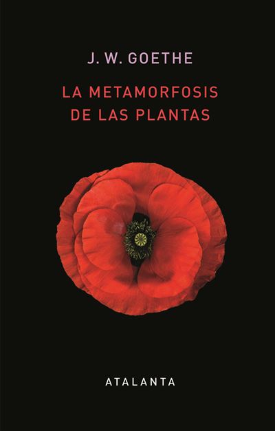 Atalanta Las Metamorfosis De Las Plantas