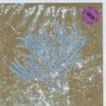 Lp-for those of you who have ne(2lp