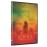 Spring - DVD_0
