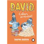 David Colom Arrebossat