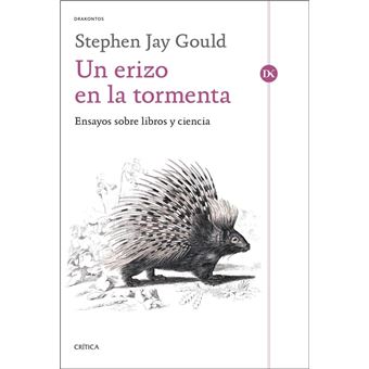 Un erizo en la tormenta