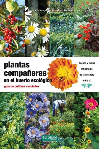Una cámara