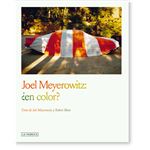 Joel Meyerowitz-En Color