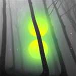 Go Zero