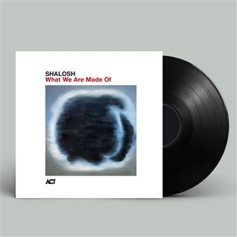 What We Are Made Of - Vinilo