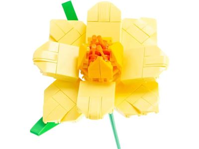 Flower mattoncini narciso