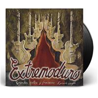 Grandes Exitos Y Fracasos 2 - 2 Vinilos