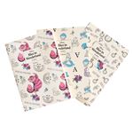 3 Cuadernos A6 Alicia En El Pais De