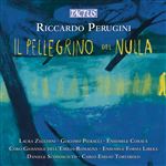 Il Pellegrino Del Nulla - CD