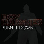 Burn It Down - Vinilo 12" EP
