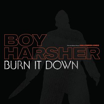 Burn It Down - Vinilo 12" EP